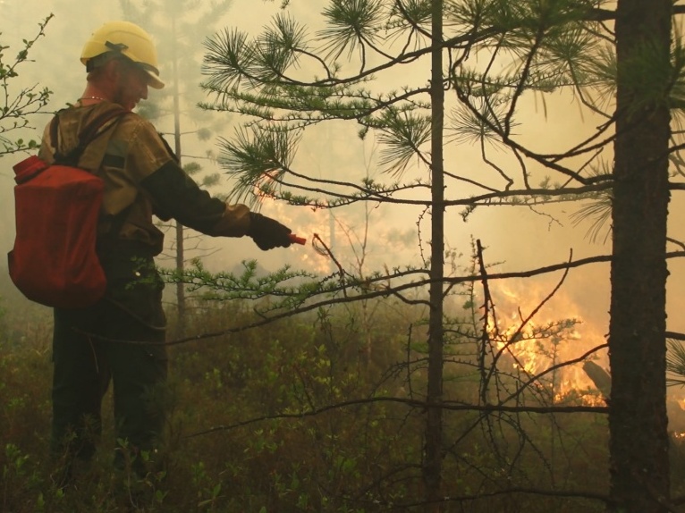 Лесной пожар в Усть-Илимском районе потушили