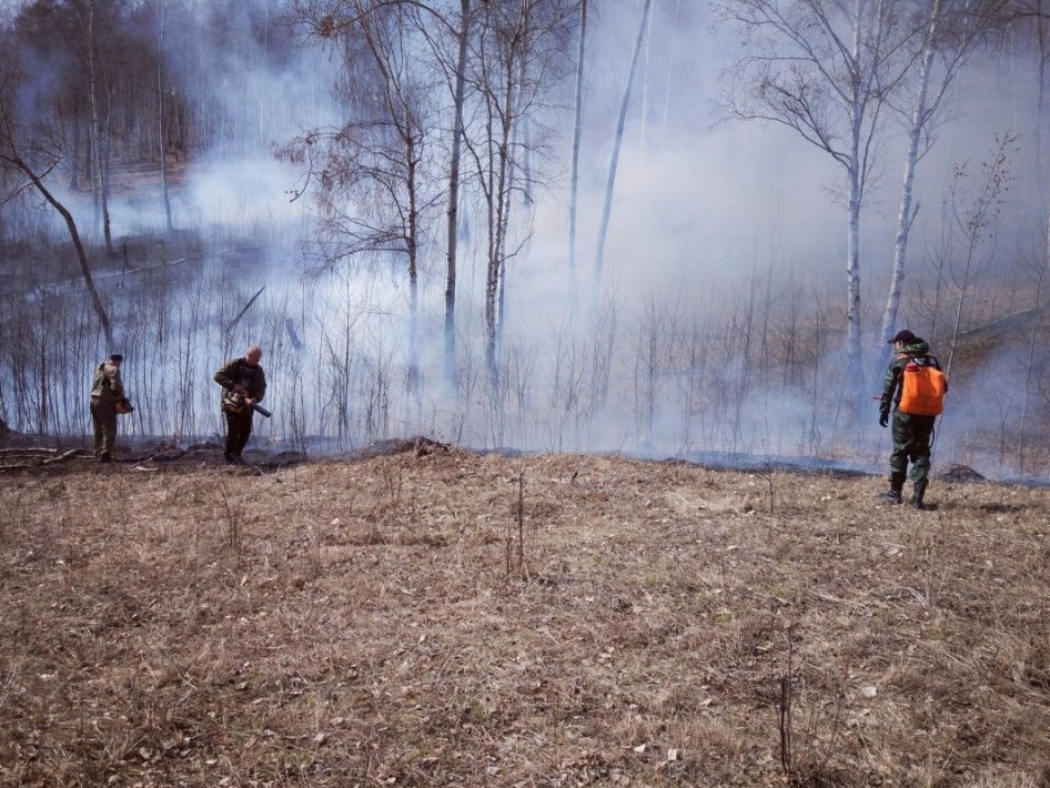 За сутки в Иркутской области ликвидировали три лесных пожара