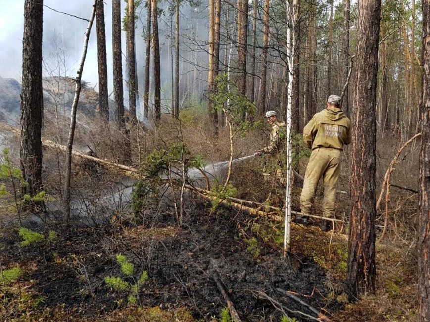 Два возгорания локализовали на землях лесного фонда Иркутской области за прошедшие сутки
