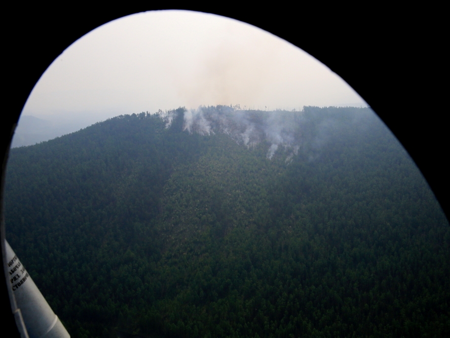 В Иркутской области действует три лесных пожара на площади 267 га