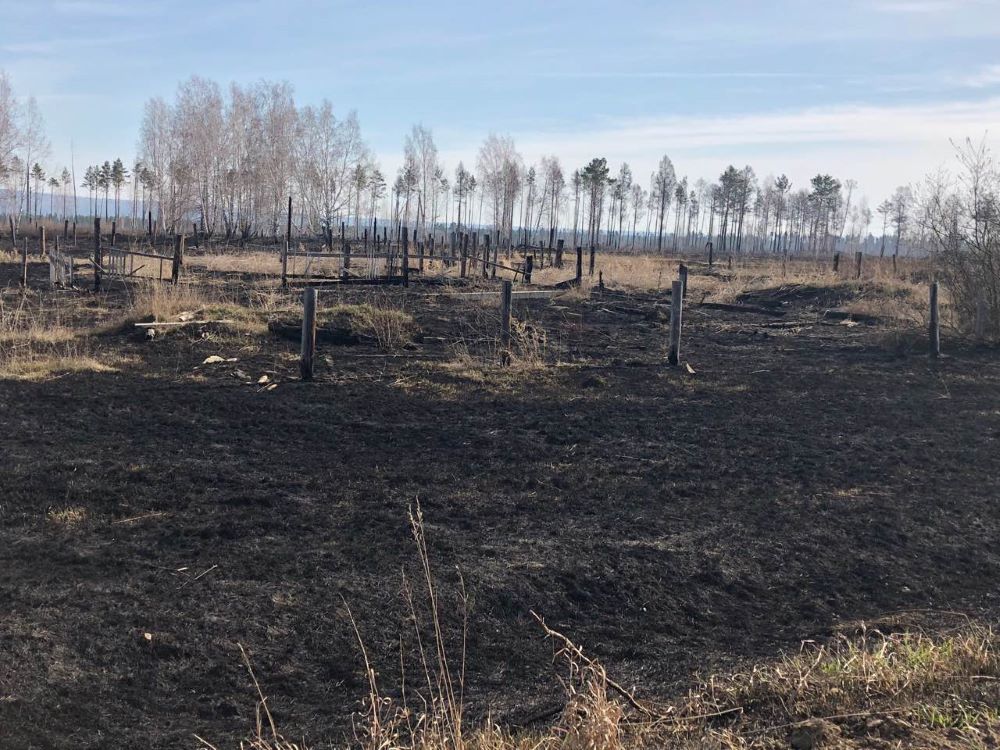 В Иркутской области ликвидировали первый в 2021 году лесной пожар