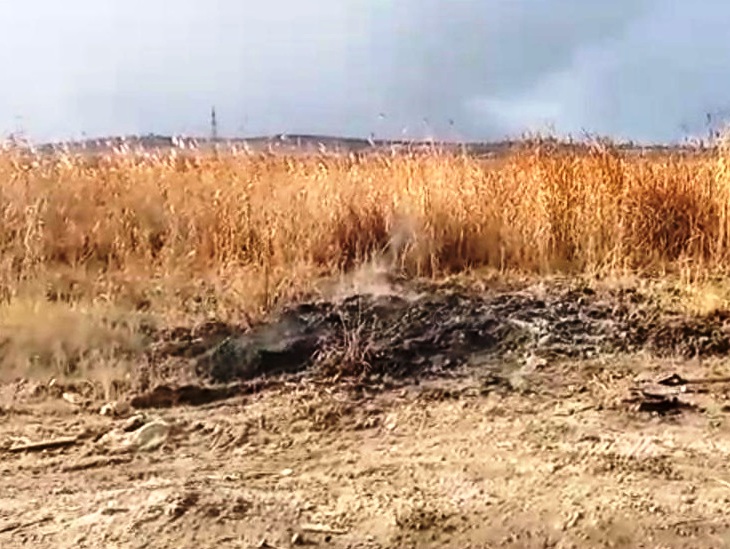 На территории «Птичьей гавани» в Иркутске предотвратили возгорание