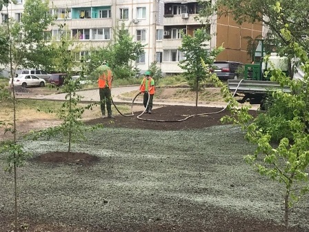 На общественных пространствах Иркутска применяют технологию гидропосева газона