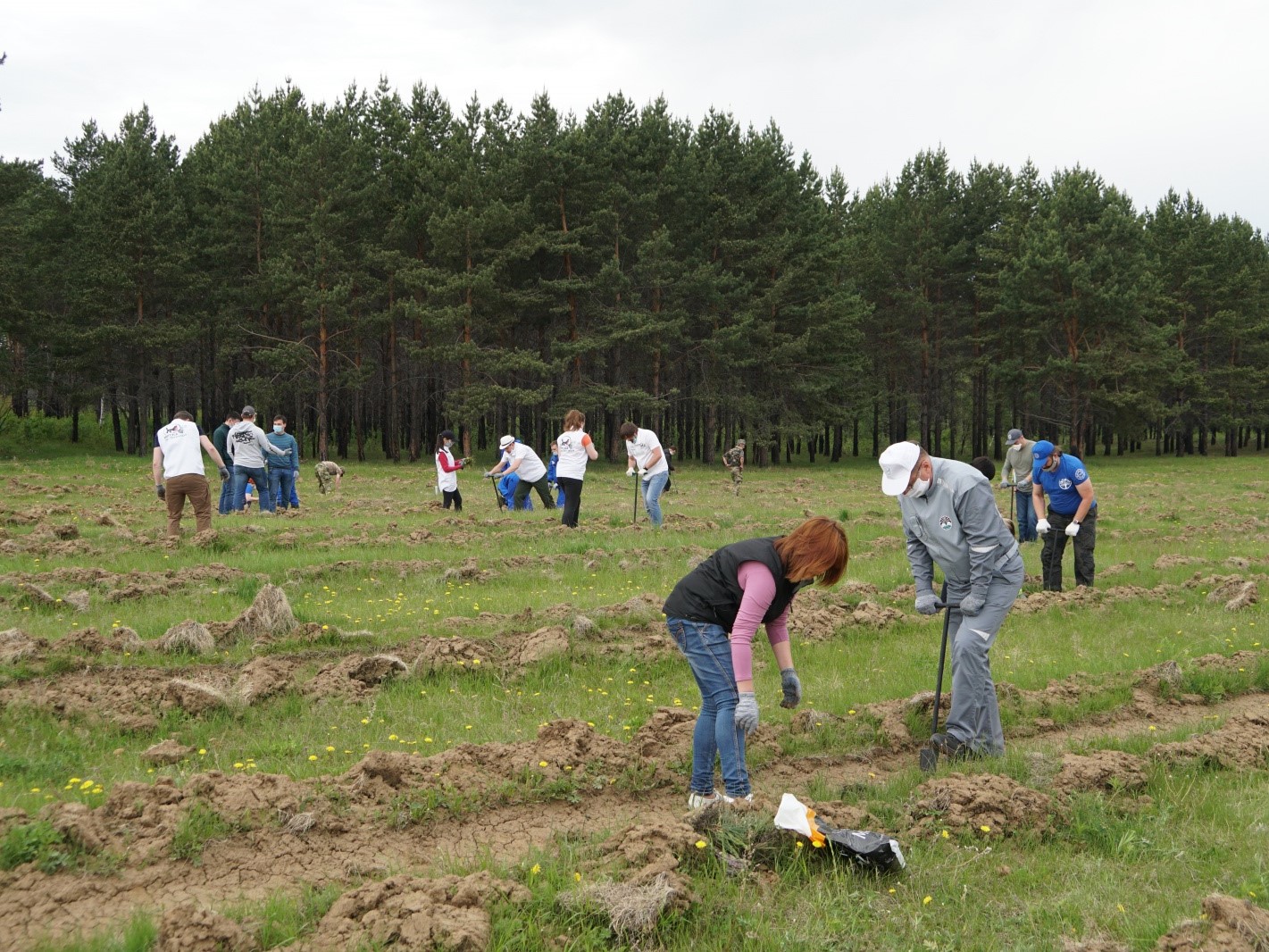 Школьные лесничества Иркутской области представили лучшие практики лесовосстановления и озеленения