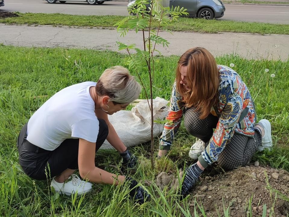 Волонтерам экопроекта «Иркутск – зеленый город!» вручили благодарности мэра