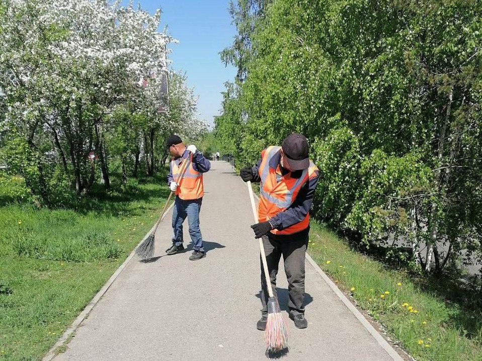 uborka ulits dvorniki ai