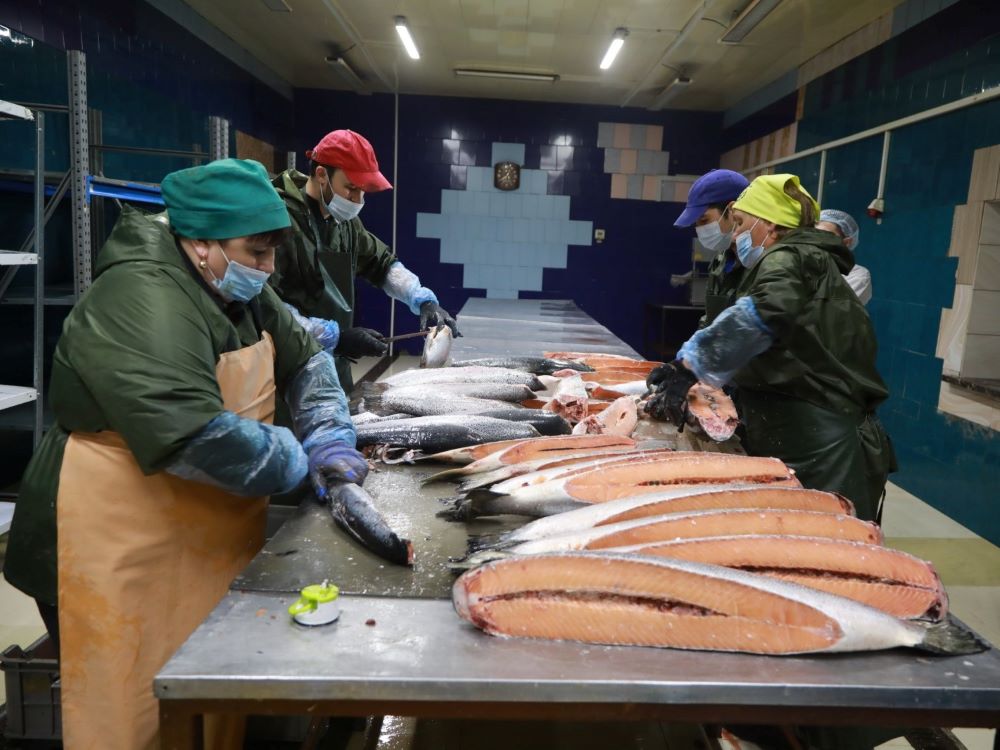 В Ангарске в рамках нацпроекта открыли цех по производству рыбной продукции