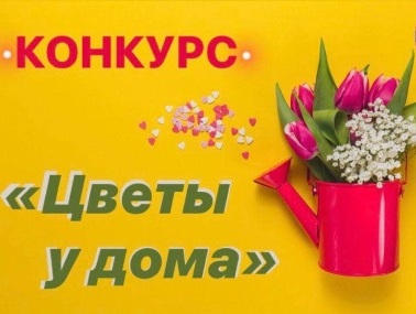 : 38rus.com