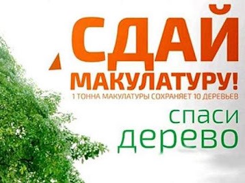 Экомарафон «Сдай макулатуру — спаси дерево» стартует в Братске 1 декабря