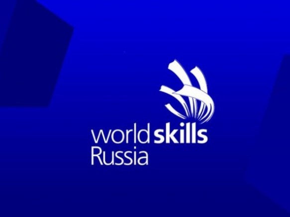 VI     (WorldSkills Russia)     