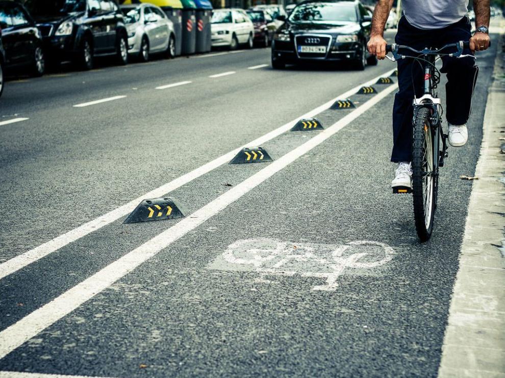 Жители Братска одобрили эскизный проект велопешеходной дорожки