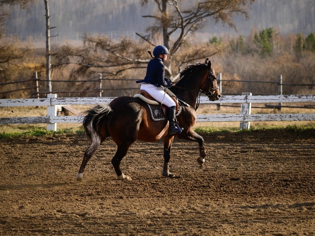 Всероссийские соревнования по конному спорту среди лиц с ПОДА пройдут в Иркутском районе