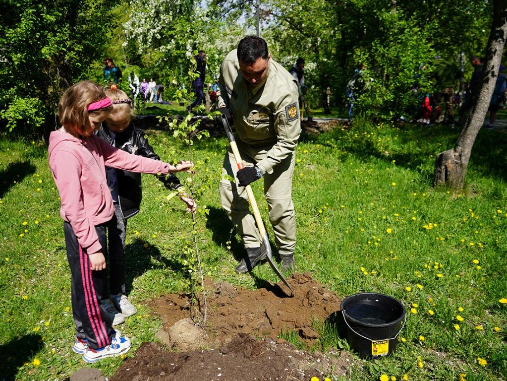 В Лисихинском парке Иркутска высадили более 100 деревьев