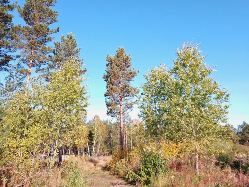 Около +8° ожидается в Иркутске во вторник