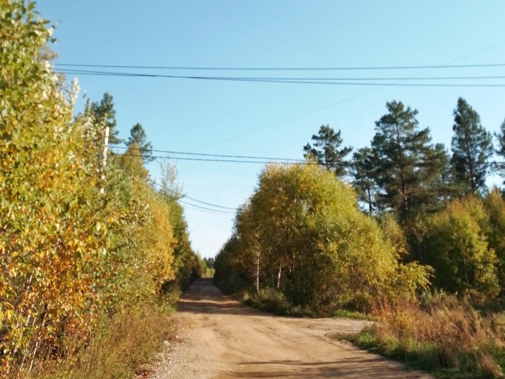 Около +13° ожидается в Иркутске в пятницу, возможен слабый дождь