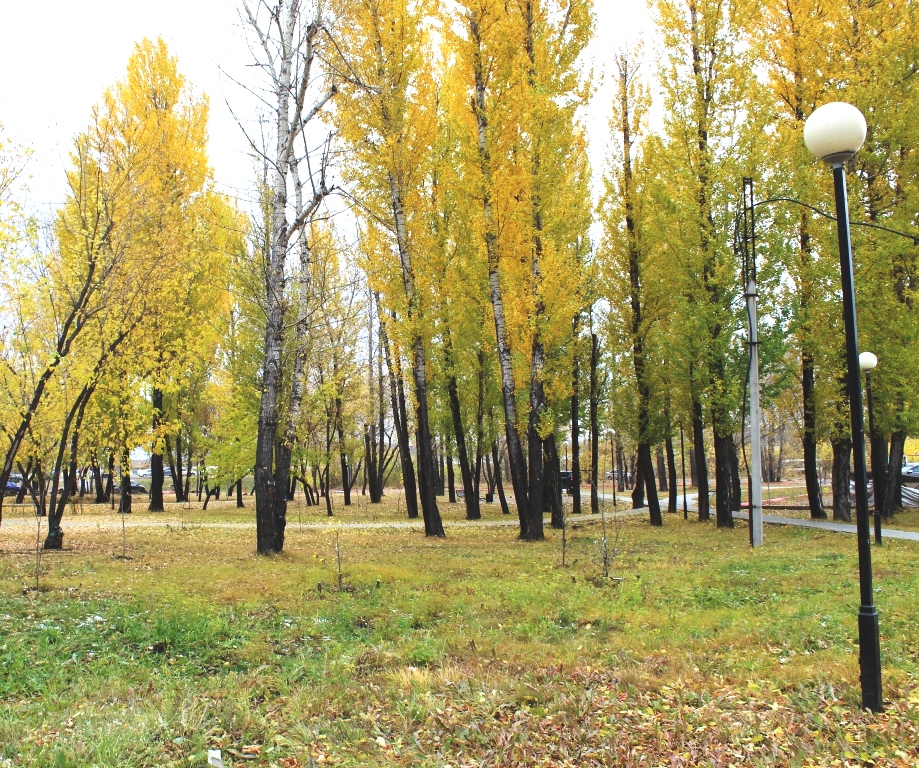 Завтра в Иркутске без осадков и до +7°