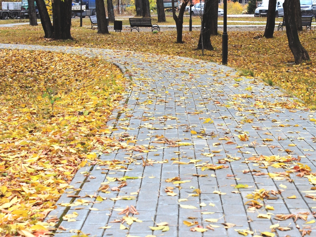 Тепло возвращается: до +14° ожидается завтра в Иркутске