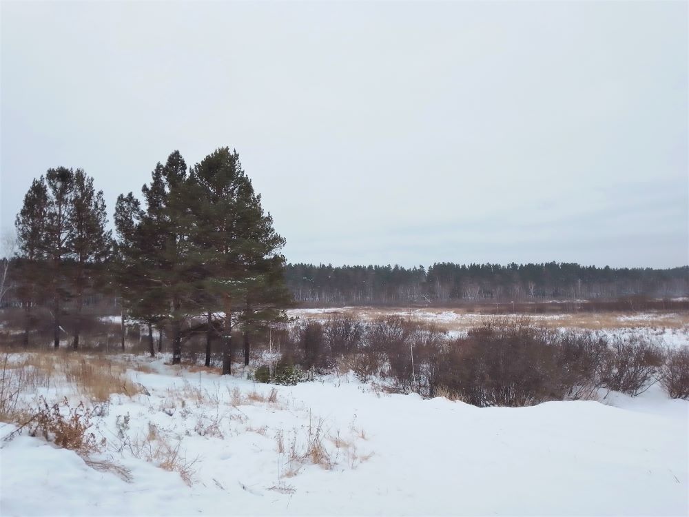 Около -5° ожидается в Иркутске в пятницу