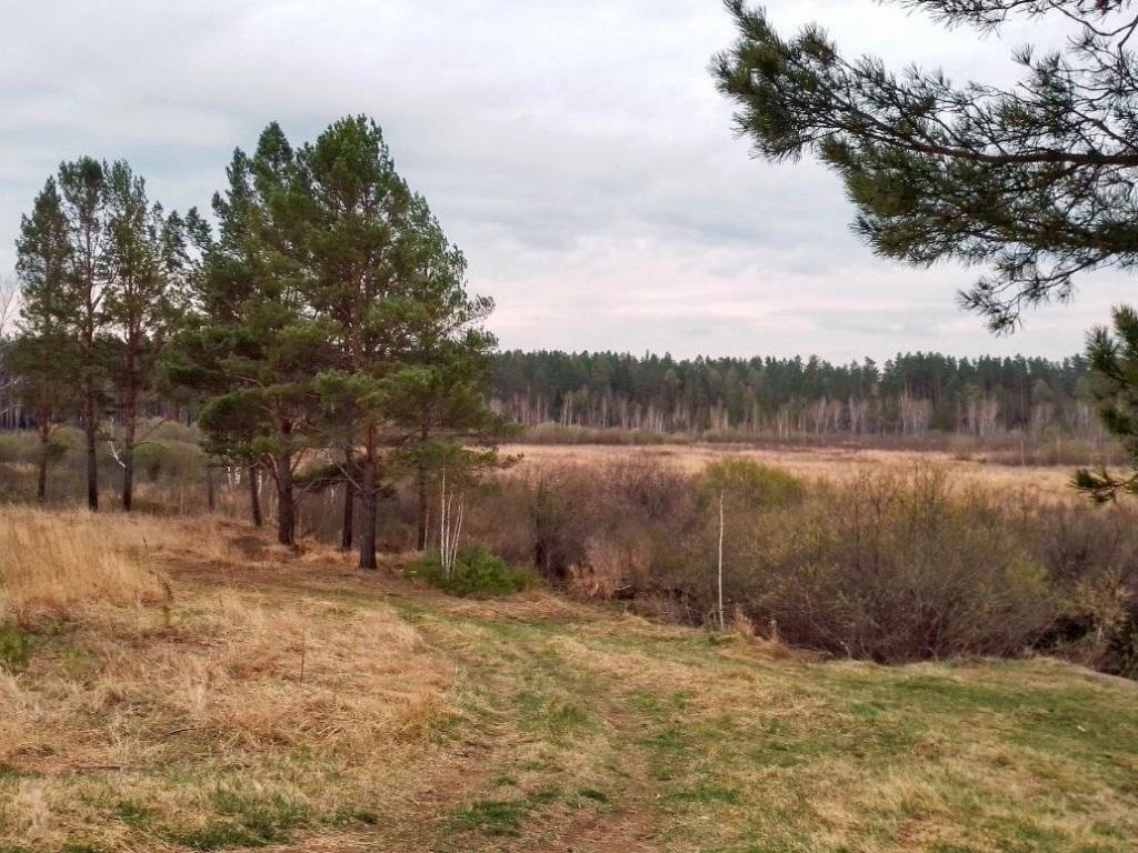 До +25° потеплеет в Иркутске во вторник