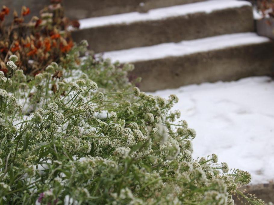 Снег, метель ожидаются в Иркутске во вторник