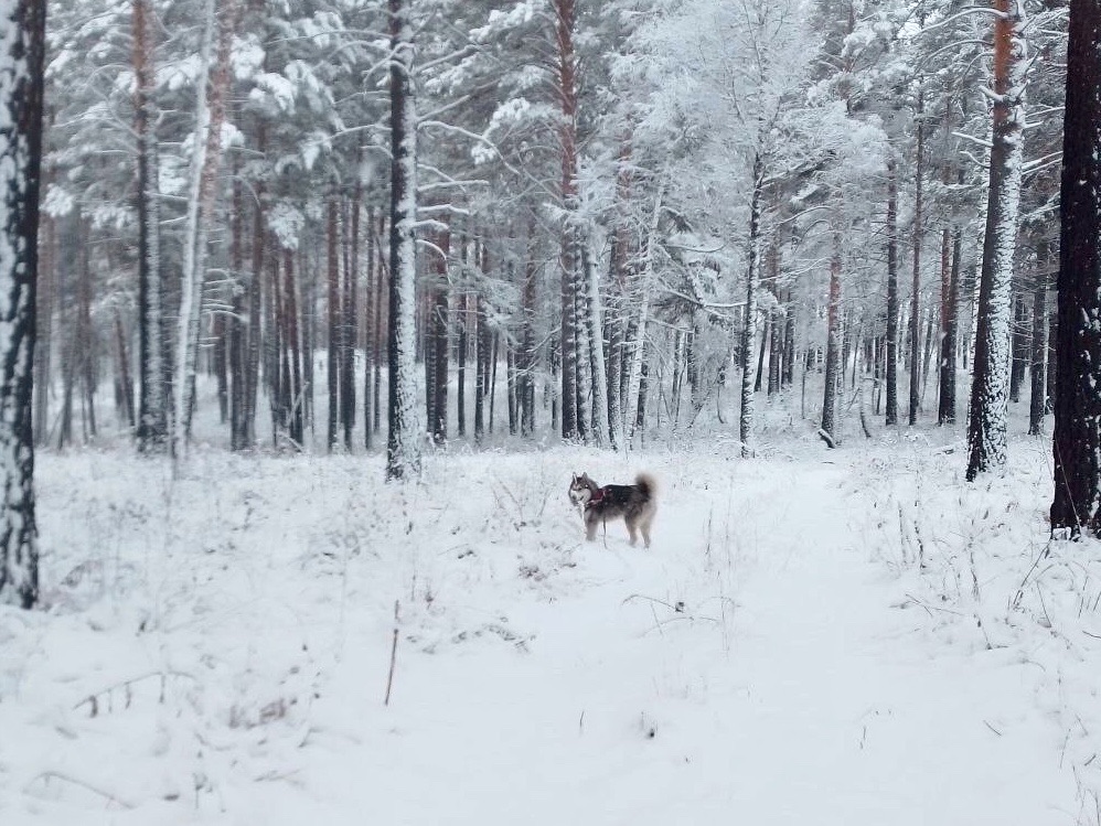 zimnyaya skazka1 nia baikal