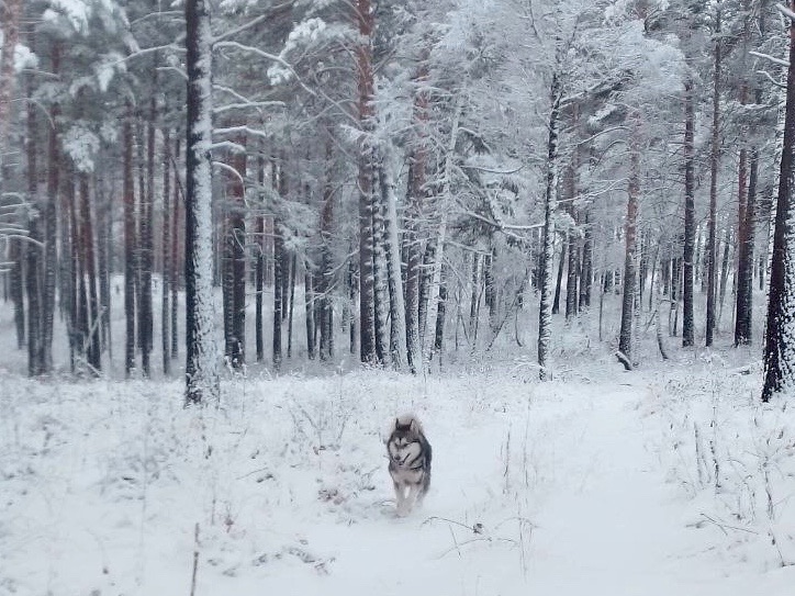 zimnyaya skazka4 nia baikal