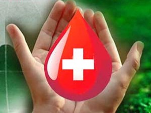 Около ста иркутских спортсменов приняли участие в акции по сдаче донорской крови