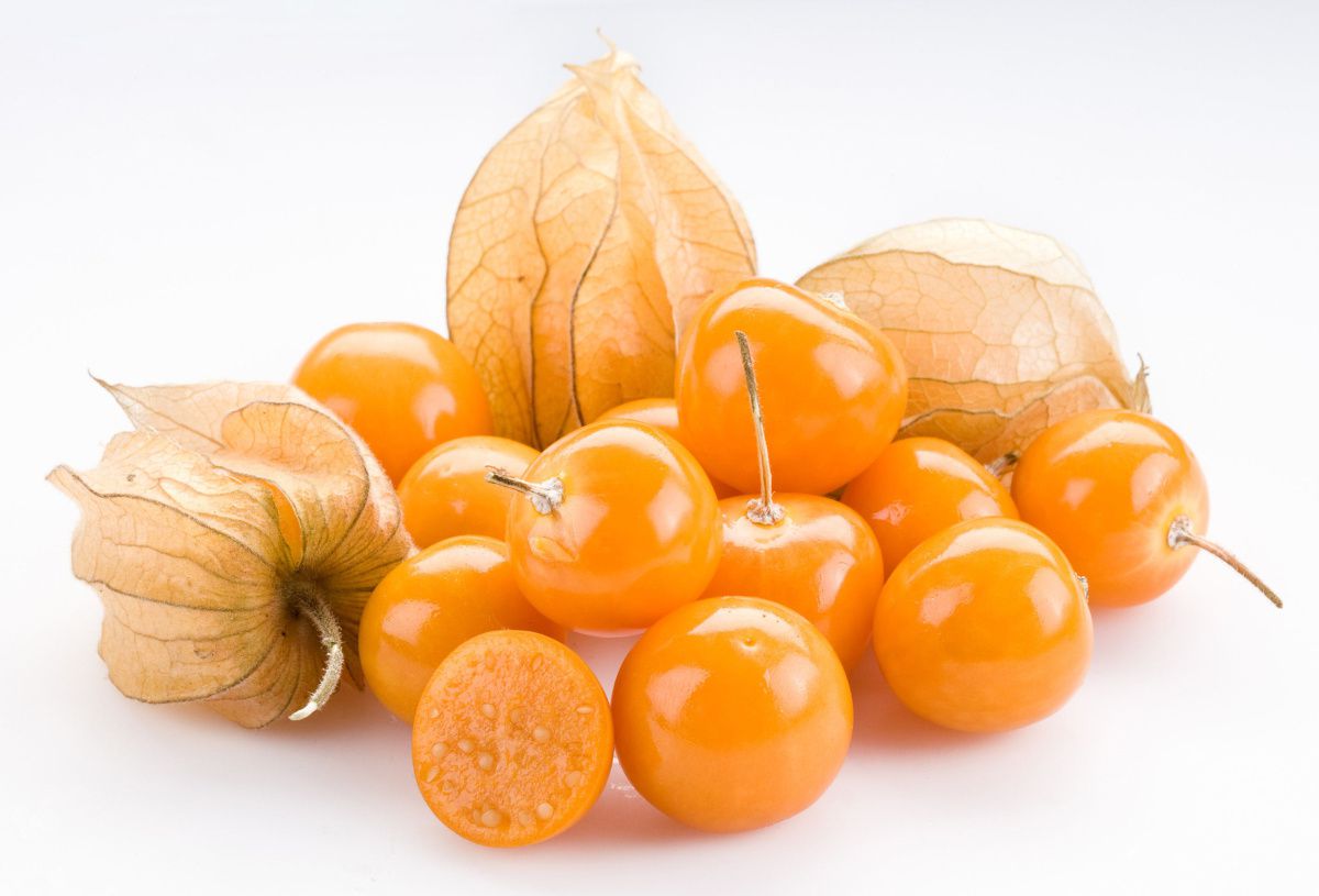 physalis