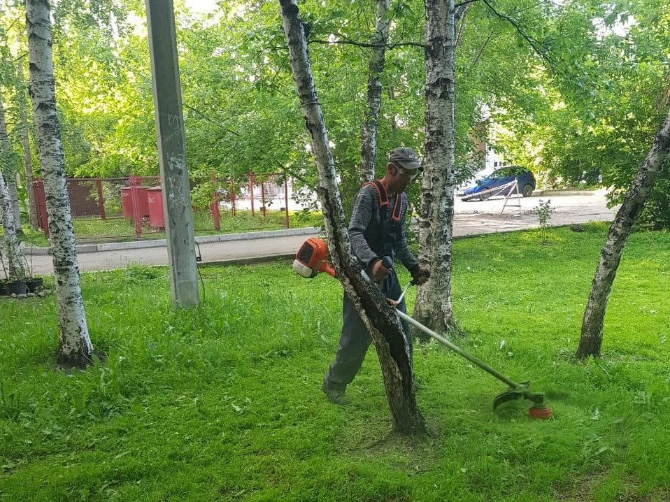 kosit travu ai copy