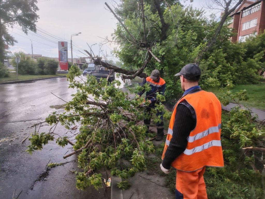 posledstvia nepogody ai