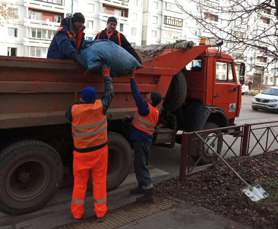 uborka listvy ai copy copy copy copy copy copy copy copy copy copy copy copy copy copy copy