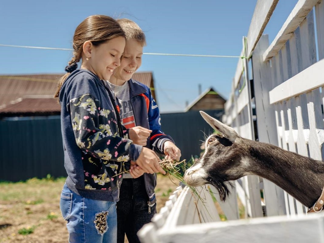 kozel agroturizm io