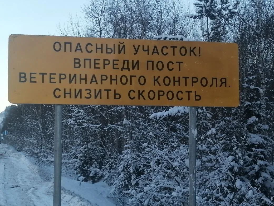 post vetkontrolya io