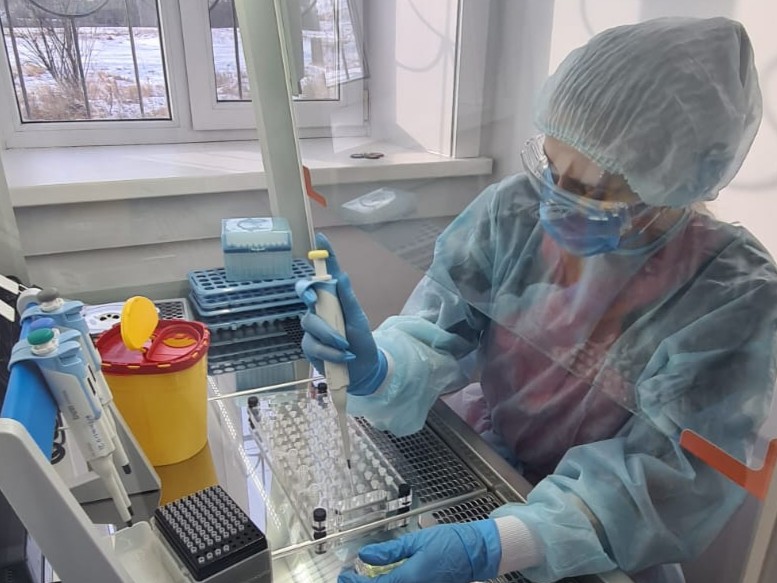 vetlabaratoriya io copy