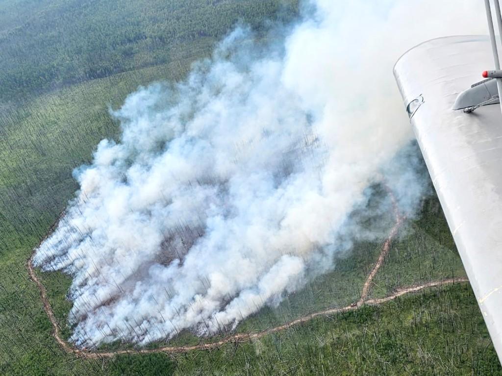 В Иркутской области зарегистрировано четыре лесных пожара