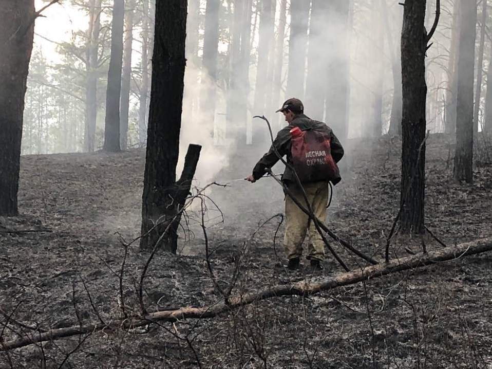 На землях лесного фонда в Иркутской области ликвидировано два первых в этом году возгорания