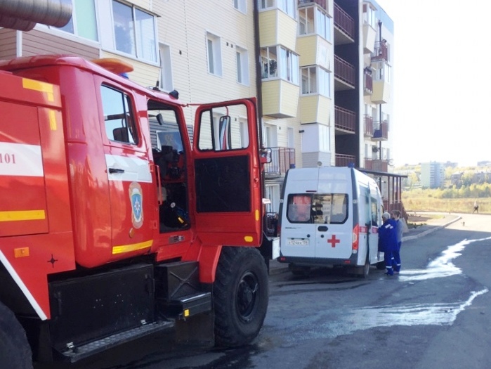pozhar bratsk mchs