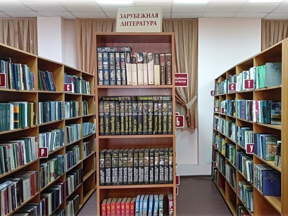 biblioteka2 ai