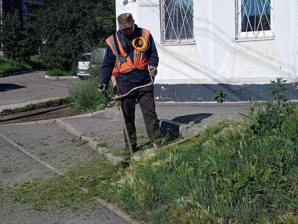 kosit travu ai