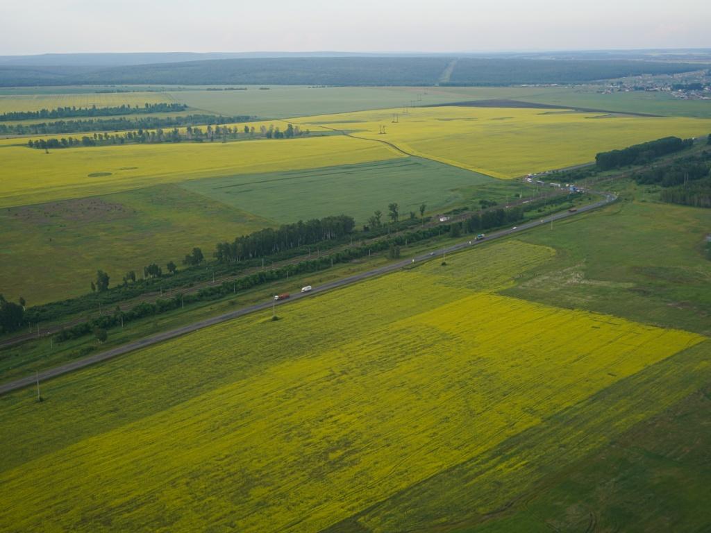 В 2024 году в Приангарье пройдет масштабная инвентаризация земель сельхозназначения