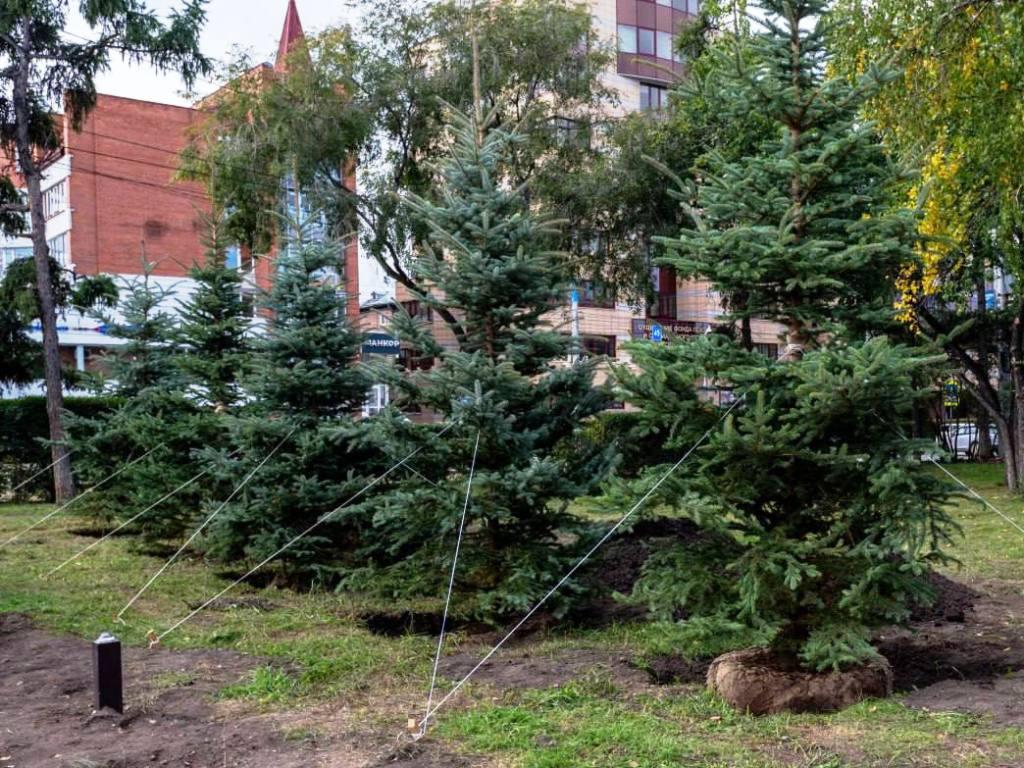 posadka eley ploshad dekabristov ai
