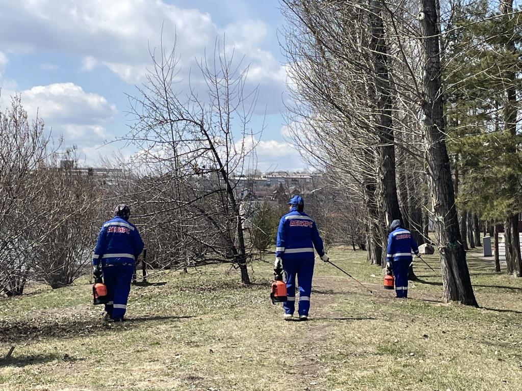 protiv kleshey ai