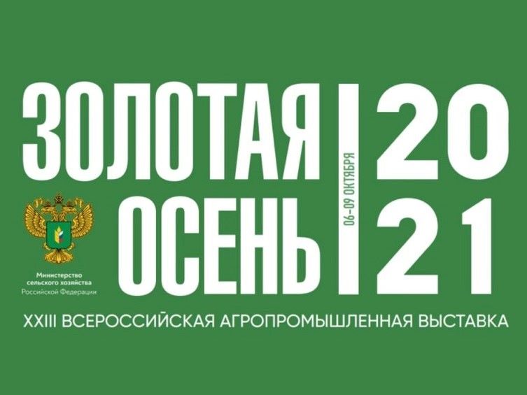 zolotaya osen 2021 io