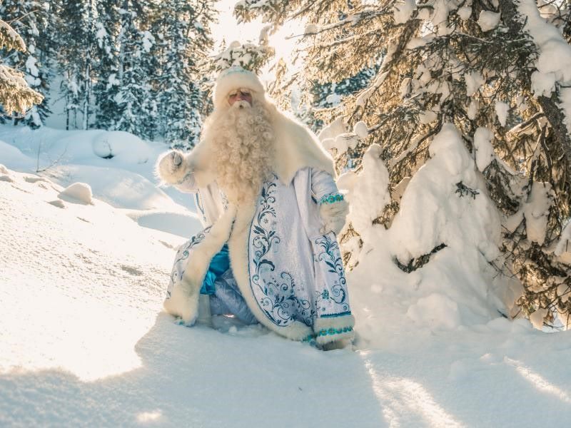 baikalskii ded moroz io