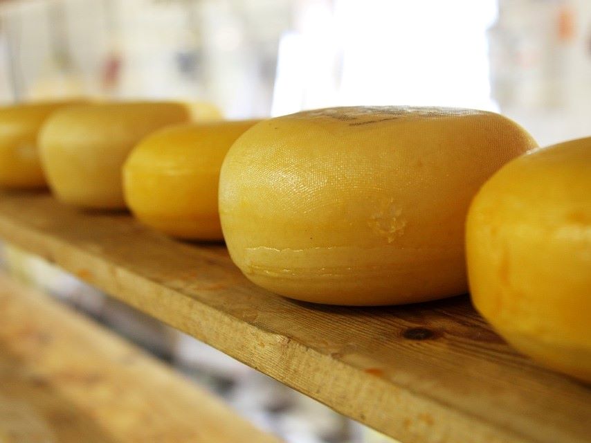 cheese pixabay PublicDomainPictures