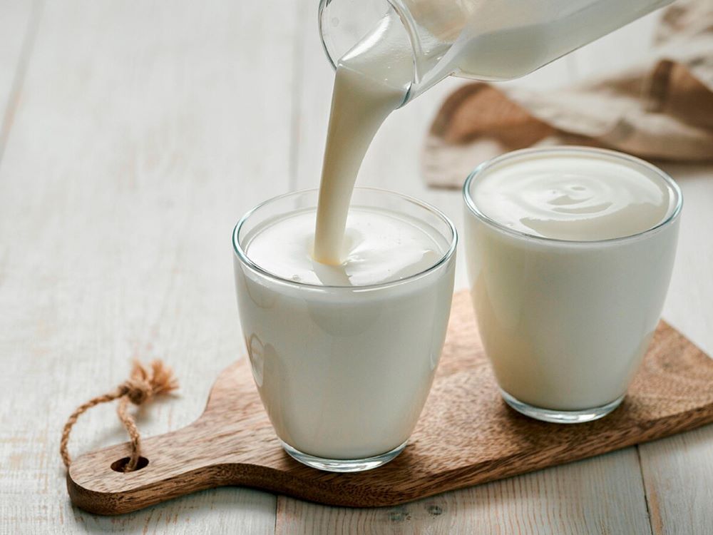 kefir