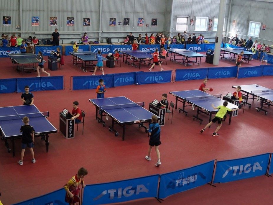 nastolnii tennis ms