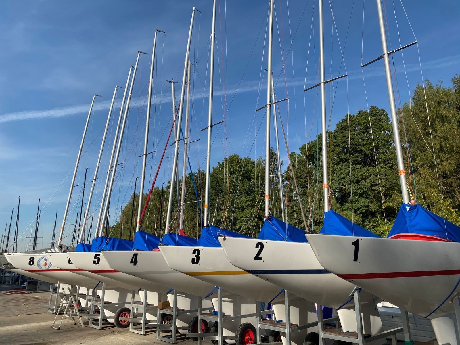 parusnyi sport ms