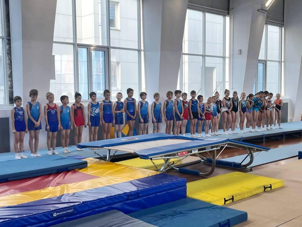 pryzhki na batute ai