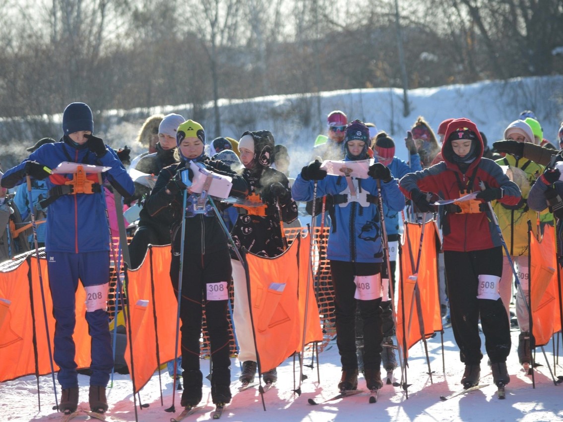 sportorientirovanie lyzhi ms